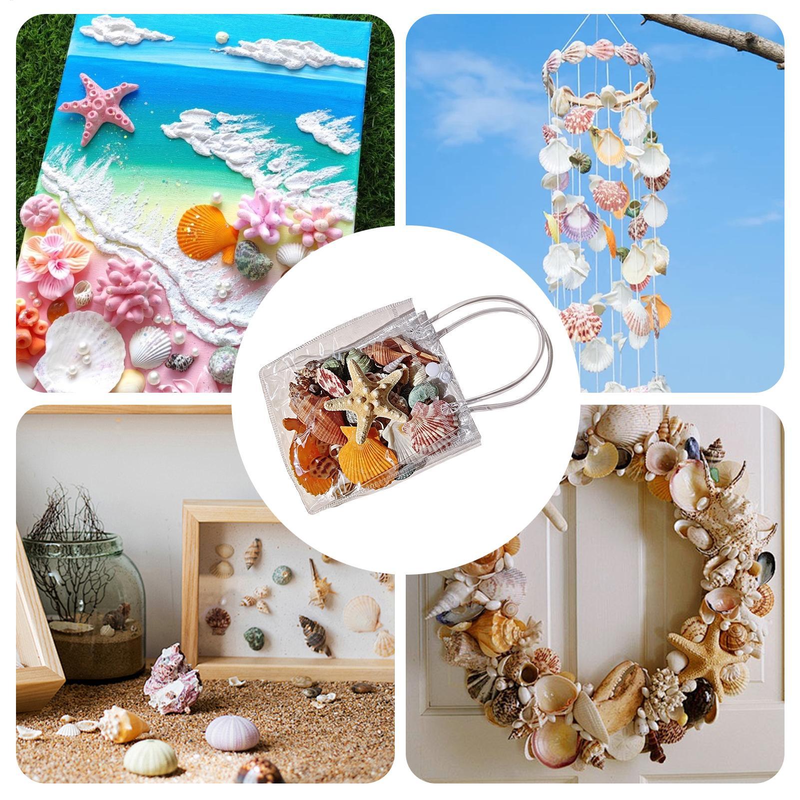 Tiny Seashells For Crafts Natu - огляд і ціна Candle Making For Kids